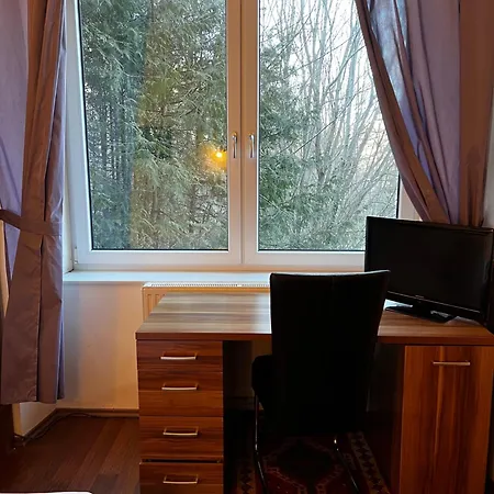 Wellspacher Luxury Apartment *