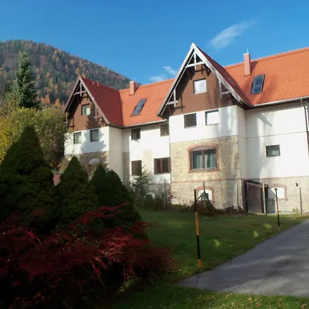 Wellspacher Luxury Apartment